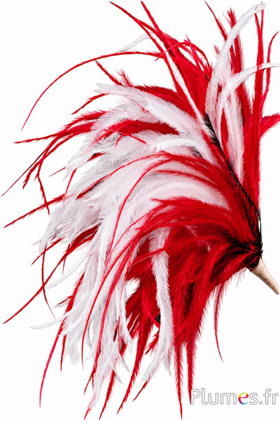 Pennacchio struzzo con anello - altezza 18 cm - nero-bianco-rosso